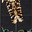 Skull Shield en el inventario